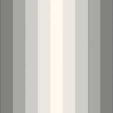 Ohpopsi So Stripey Tone On Tone STR50144W Wallpaper - Charcoal