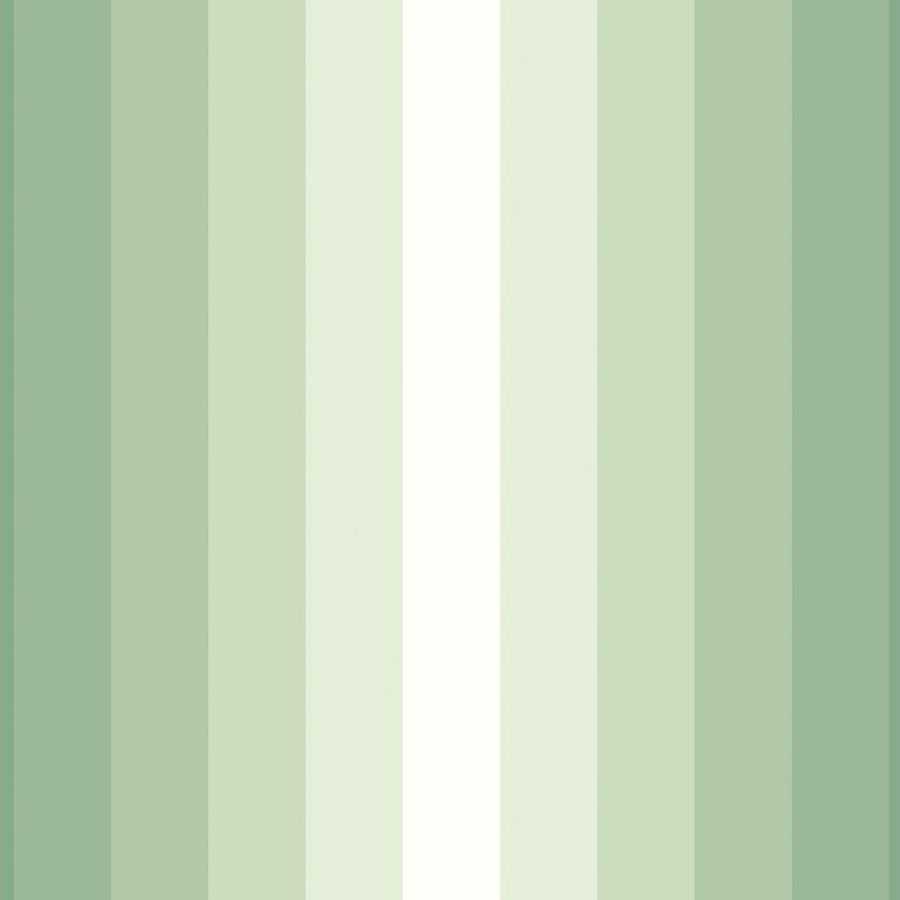 Ohpopsi So Stripey Tone On Tone STR50145W Wallpaper - Pine