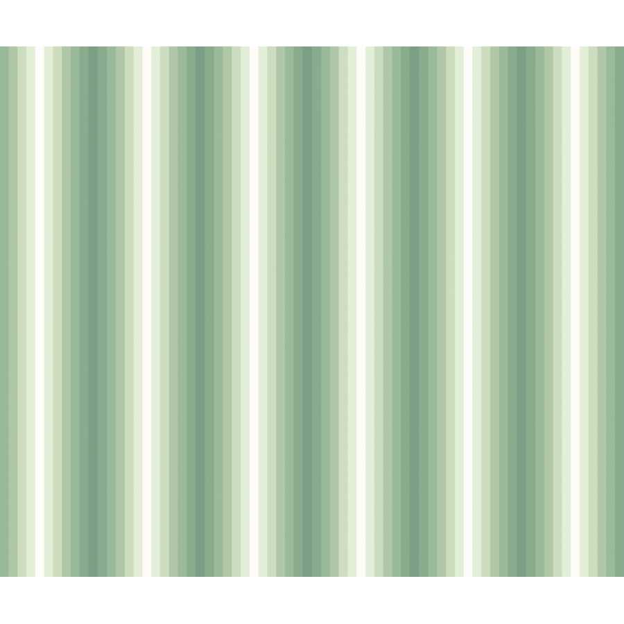 Ohpopsi So Stripey Tone On Tone STR50145W Wallpaper - Pine