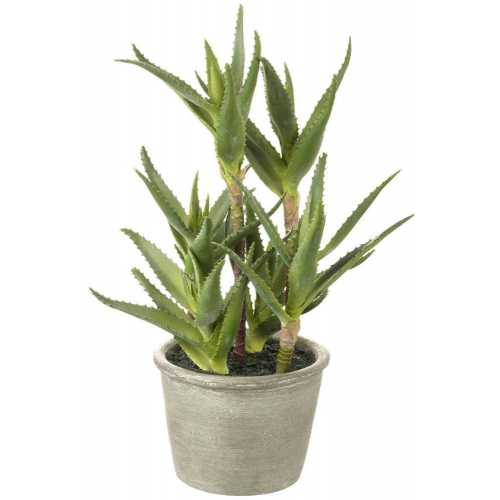 Parlane Living Aloe Multi Artificial Plant With Pot