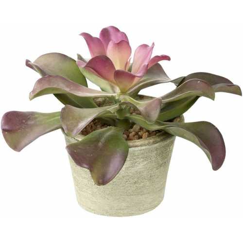 Parlane Living Echeveria Artificial Plant With Pot - Green & Pink