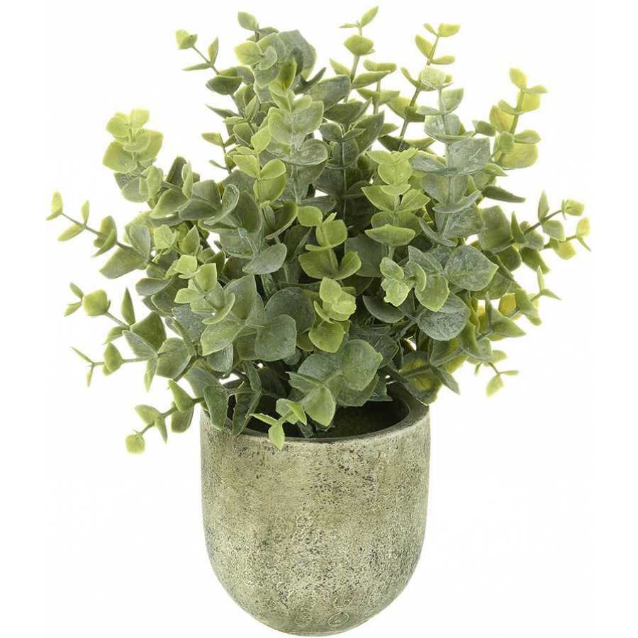 Parlane Living Eucalyptus Artificial Plant With Pot - Small