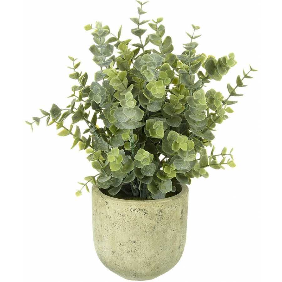 Parlane Living Eucalyptus Artificial Plant With Pot - Large