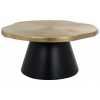 Richmond Interiors Sassy Coffee Table