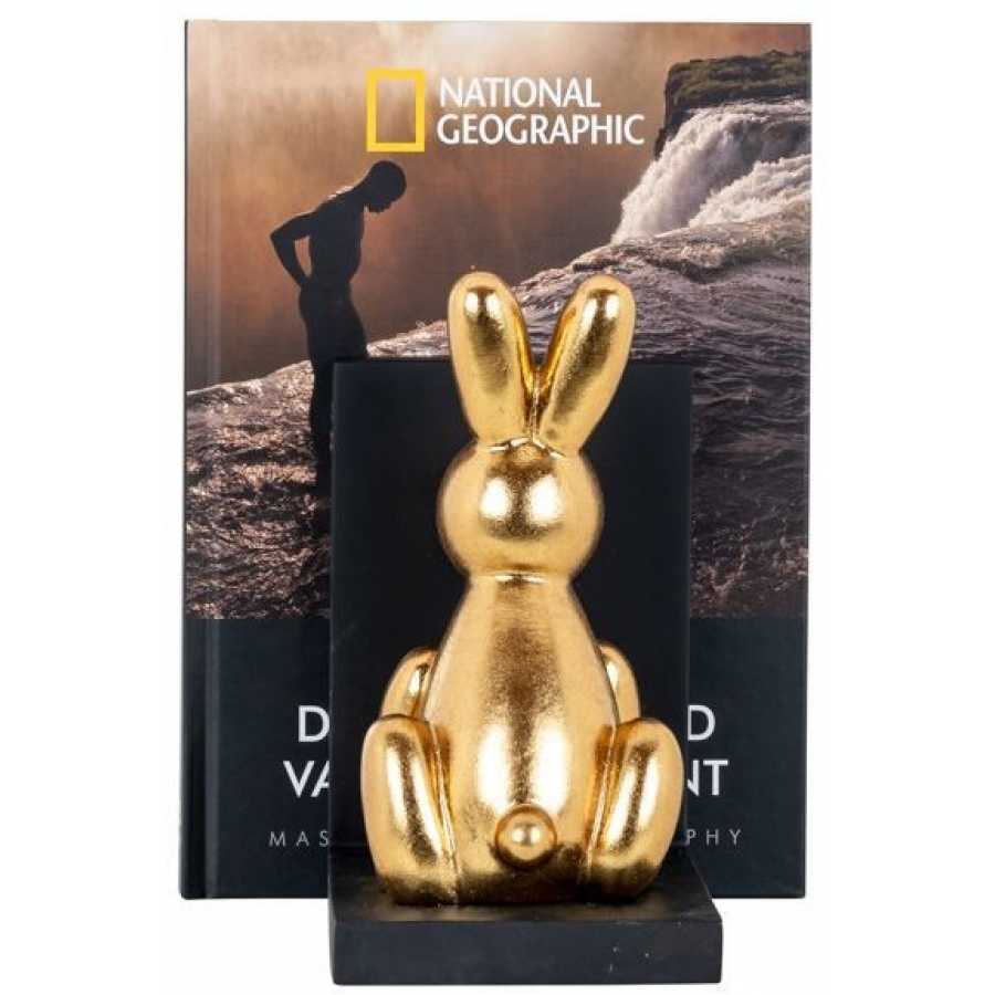 Richmond Interiors Cony Bookends - Set of 2
