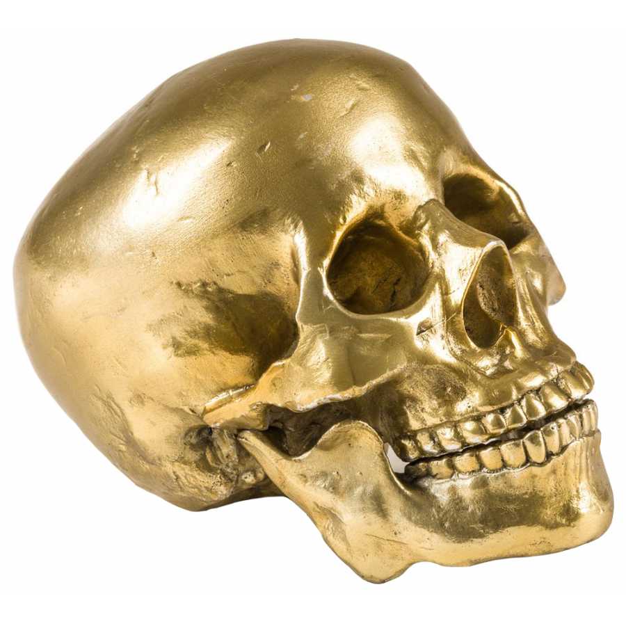 Seletti Wunderkammer Human Skull Ornament