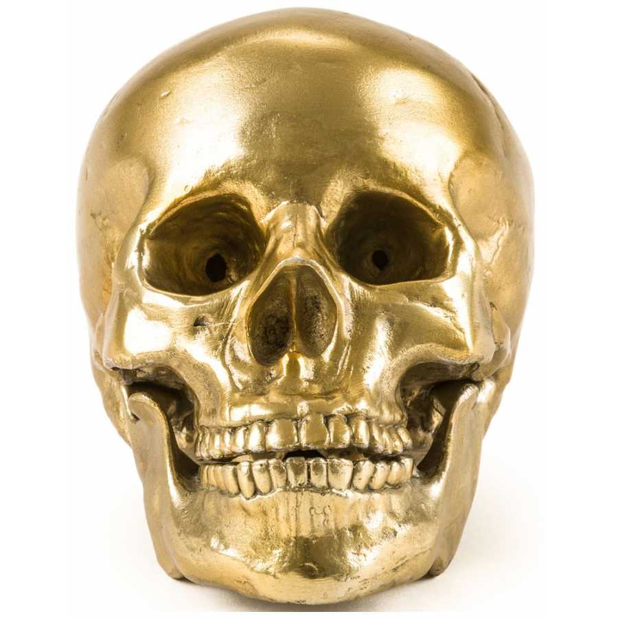 Seletti Wunderkammer Human Skull Ornament