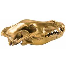 Seletti Wunderkammer Ornament - Wolf Skull