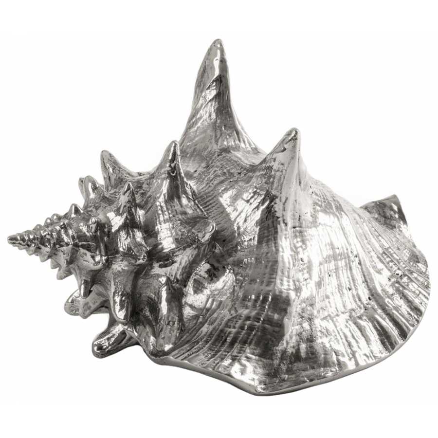 Seletti Wunderkammer Shell Ornament