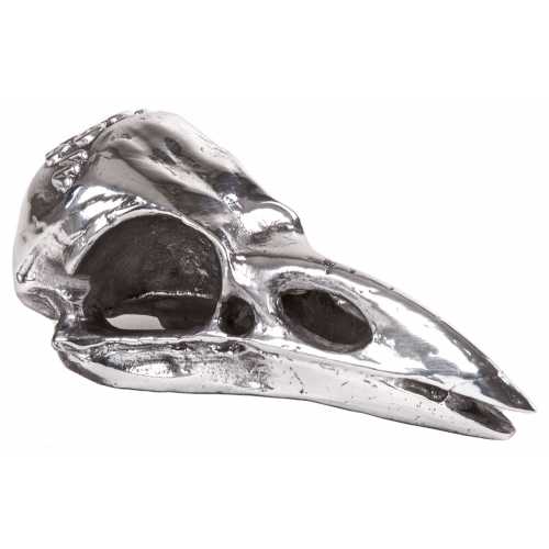 Seletti Wunderkammer Ornament - Crow Skull