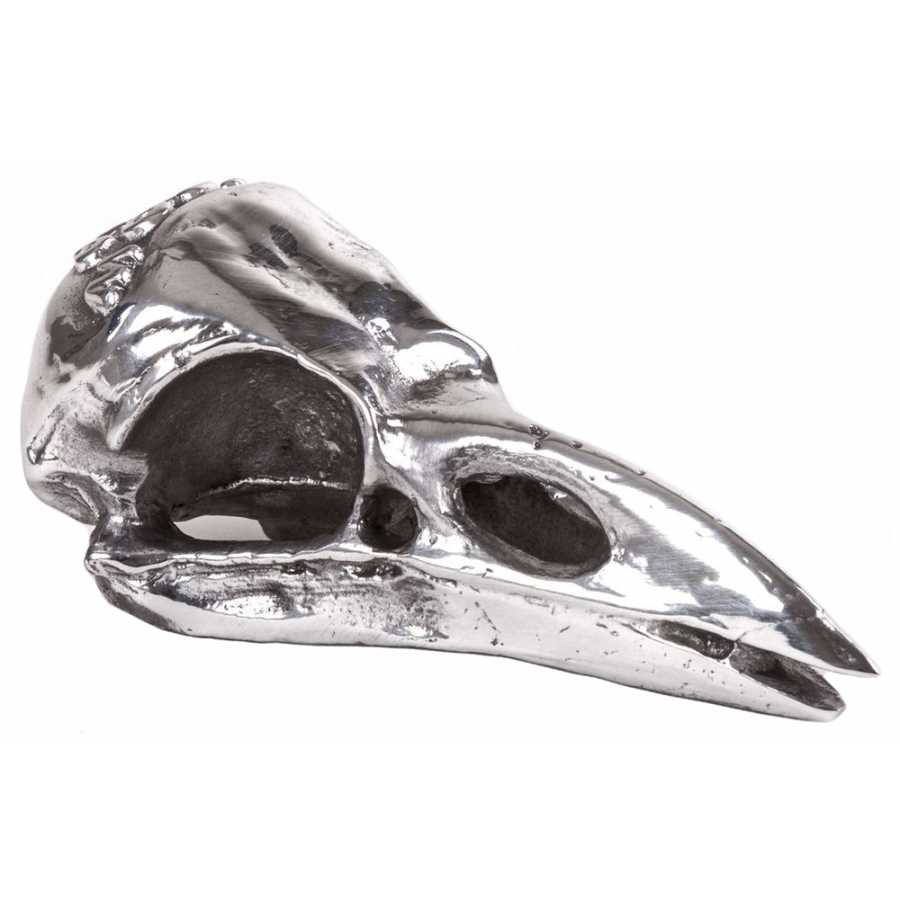 Seletti Wunderkammer Crow Skull Ornament