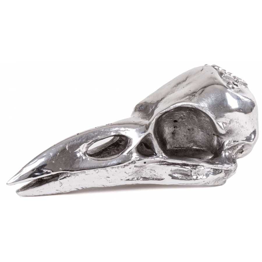 Seletti Wunderkammer Crow Skull Ornament