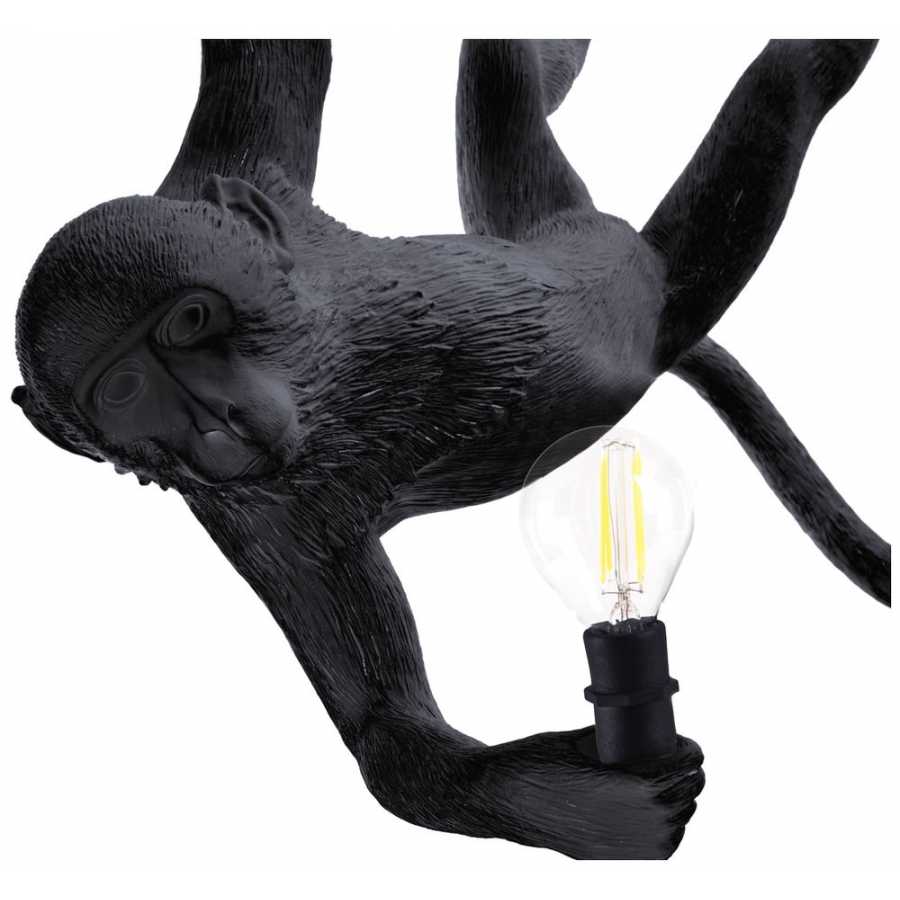 Seletti Monkey Ceiling Outdoor Lamp