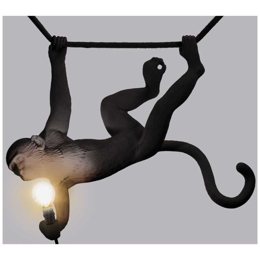 Seletti Monkey Ceiling Outdoor Lamp