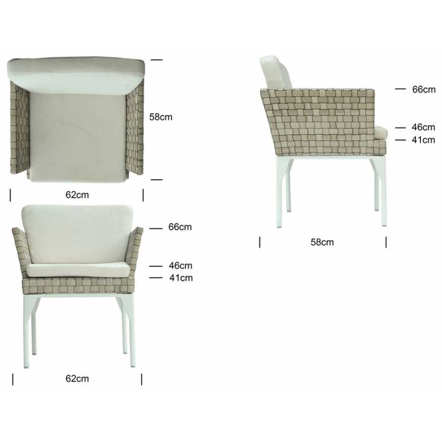 Skyline Design Brafta Sea Shell Dining Chair