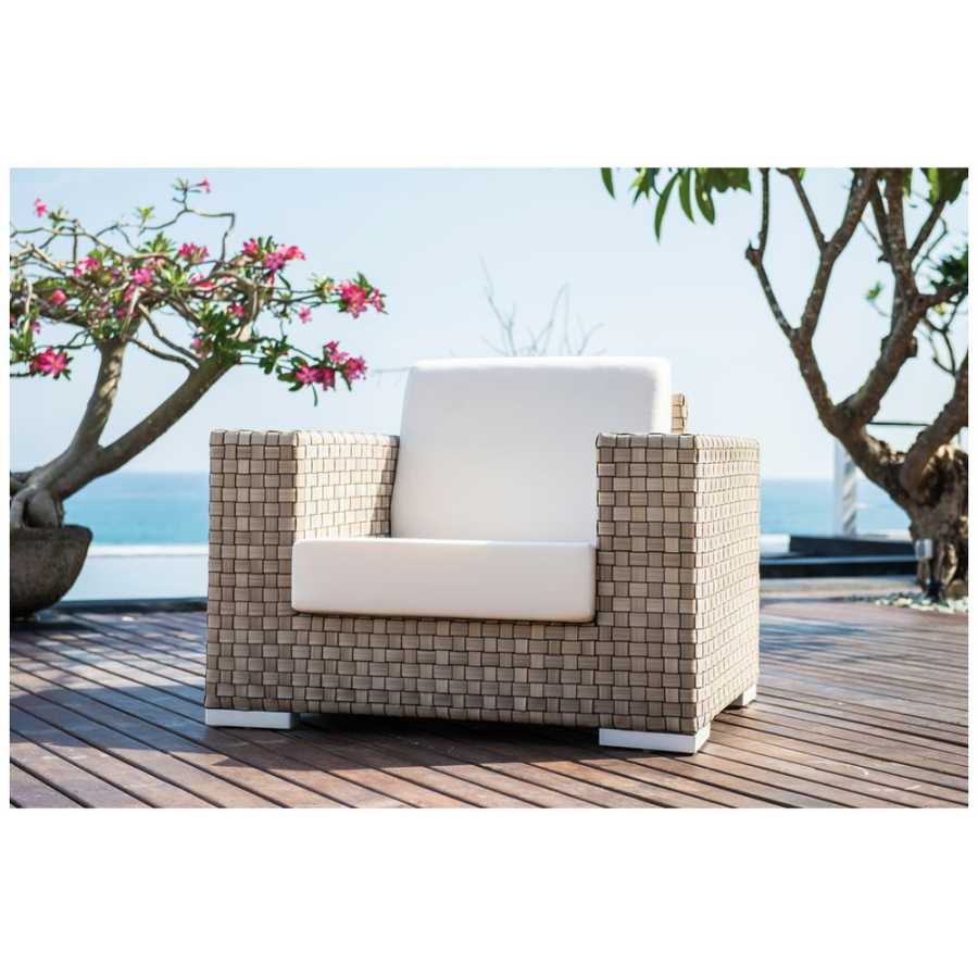 Skyline Design Brando Sea Shell Arm Chair