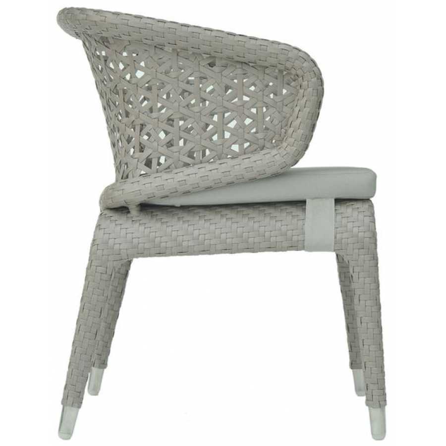 Skyline Design Journey Silver Walnut Carver Dining Chair