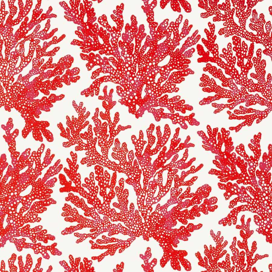 Thibaut Tropics Marine Coral T10120 Wallpaper