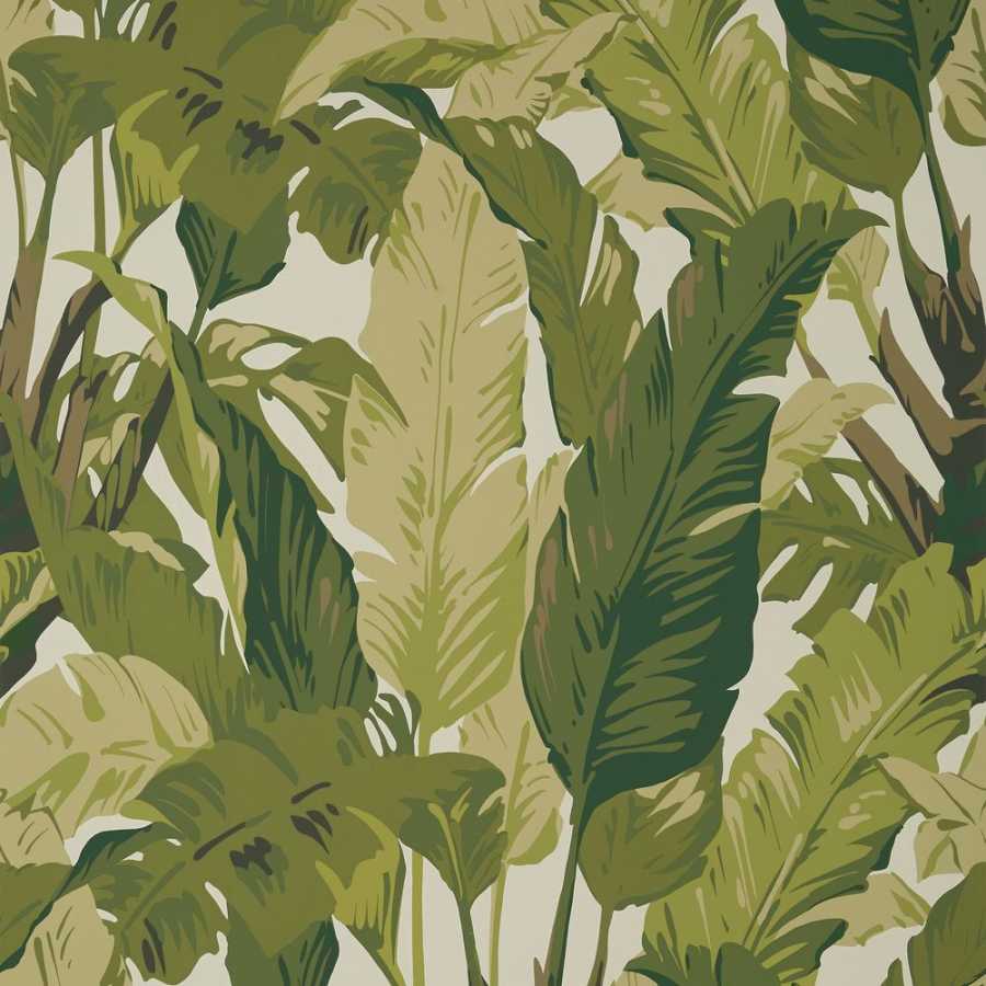 Thibaut Tropics Travelers Palm T10131 Wallpaper