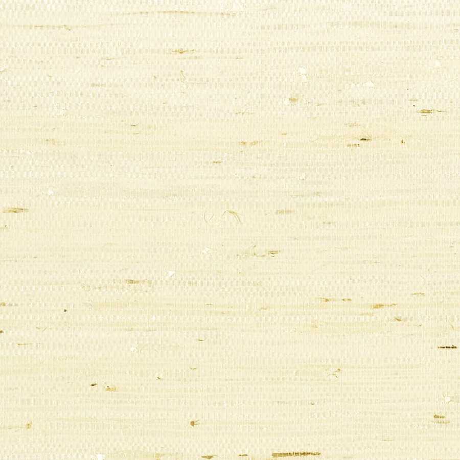 Thibaut Greenwood Maranta Arrowroot T85008 Cream Wallpaper