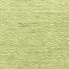 Thibaut Greenwood Maranta Arrowroot T85012 Wallpaper