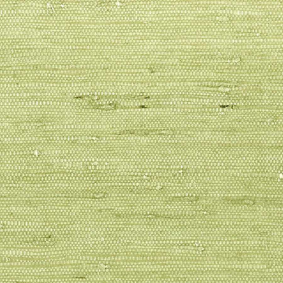 Thibaut Greenwood Maranta Arrowroot T85012 Green Wallpaper