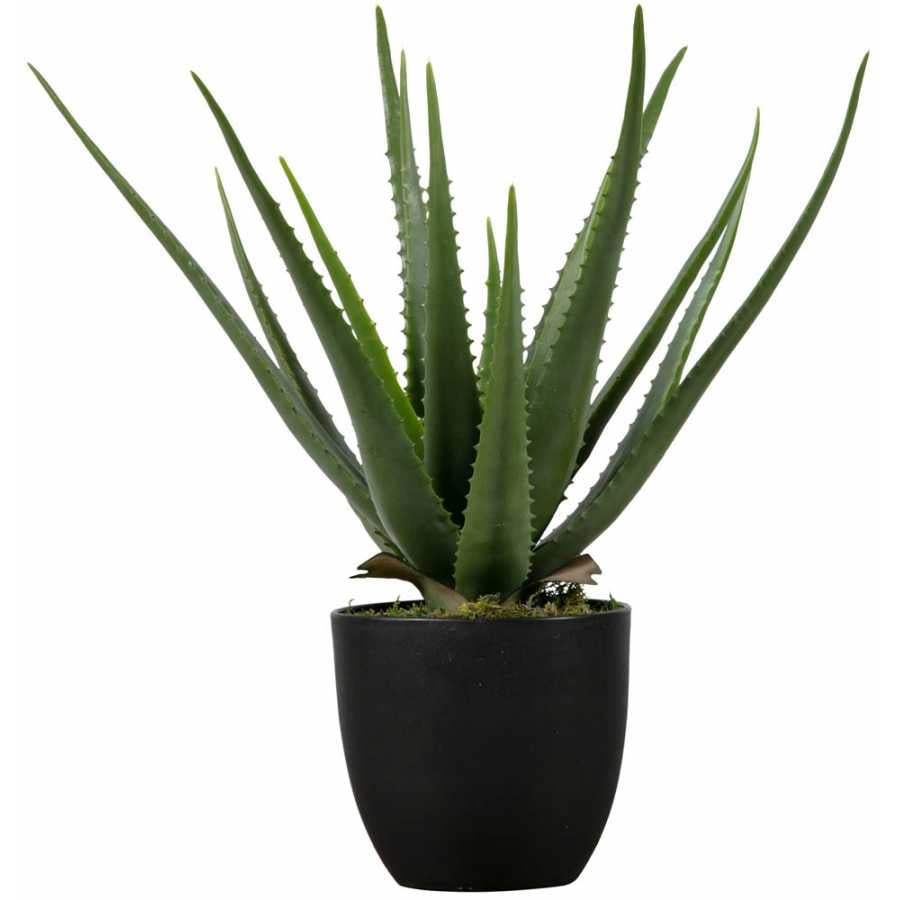 WOOOD Aloe Vera Artificial Plant - Large