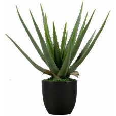 WOOOD Aloe Vera Artificial Plant